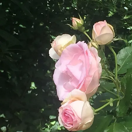 Hotel Paterno Vaglia (Tuscany)