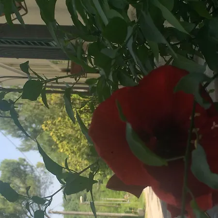 Paterno Hotel Vaglia (Tuscany)