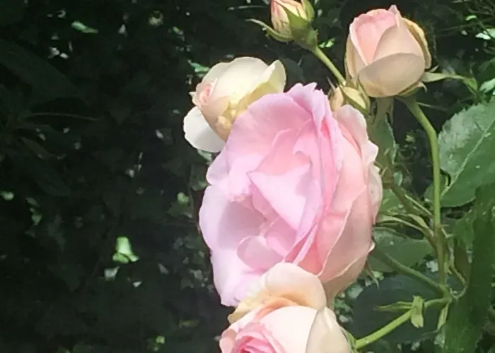 호텔 Paterno 발리아